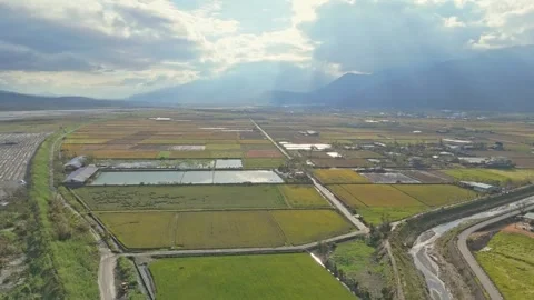 Sunbeams Over a Patchwork of Rice Fields in the Valley 스톡 동영상 314120921