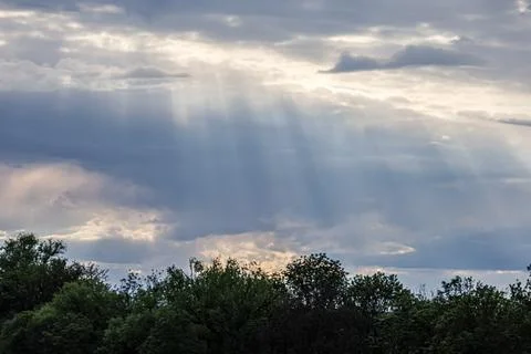 Sunbeams pierce through dramatic clouds over a lush green forest canopy 写真素材