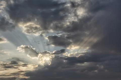 Sunbeams piercing the clouds at dawn. Stock Photos