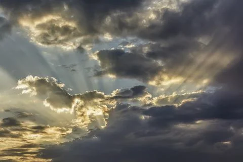 Sunbeams piercing the clouds at dawn. Stock Photos