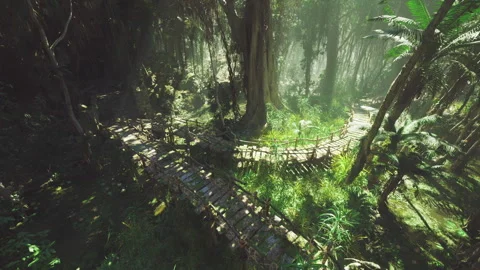 Sunbeams piercing dense rainforest above narrow wooden path Stock Footage 338341148