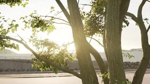 Sunbeams pour through treeon the beach Illustrazione stock