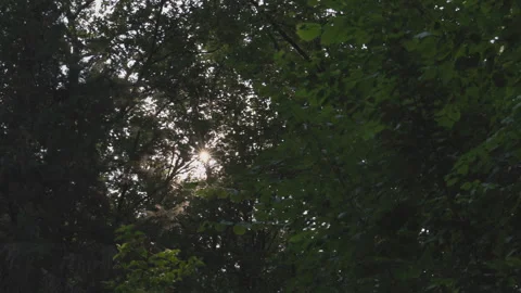 Sunbeams / Ray of Light Stockbeeldmateriaal 311963317