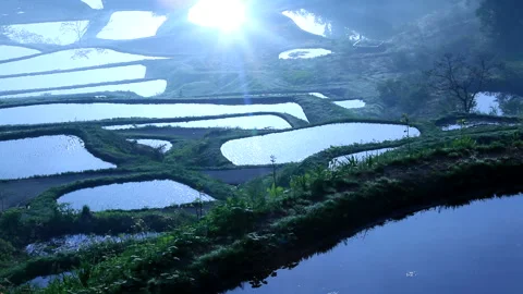 Sunbeams Reflecting on the Terraced Rice Fields of Hoshitoge 스톡 동영상 330155541