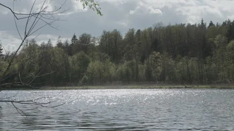 Sunbeams on River Surface – Forest Reflected Light Motion Stock Footage 308399469