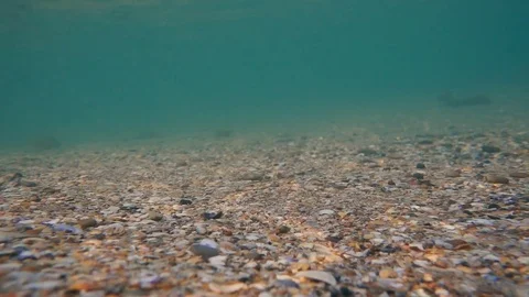 Sunbeams on a sandy bottom slow motion Stock Footage 80249203