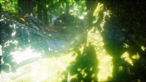 Sunbeams Shining through Natural Forest of Beech Trees Stock Illustration