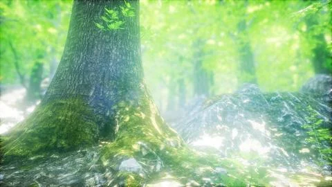 Sunbeams Shining through Natural Forest of Beech Trees Stock Illustration