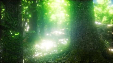 Sunbeams Shining through Natural Forest of Beech Trees Stock Illustration