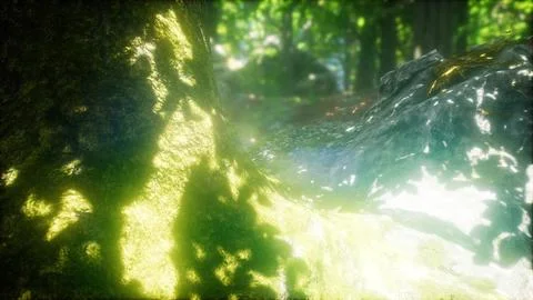 Sunbeams Shining through Natural Forest of Beech Trees Stock Illustration