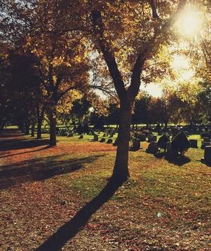 Sunbeams Shining Through Trees Over a Tombstone in a Peaceful Cemetery Stock Photos
