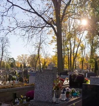 Sunbeams Shining Through Trees Over a Tombstone in a Peaceful Cemetery Stock Photos