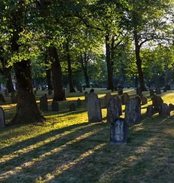 Sunbeams Shining Through Trees Over a Tombstone in a Peaceful Cemetery Stock Photos