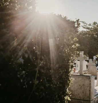 Sunbeams Shining Through Trees Over a Tombstone in a Peaceful Cemetery Stock Photos