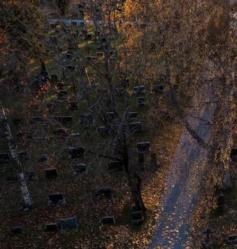 Sunbeams Shining Through Trees Over a Tombstone in a Peaceful Cemetery Stock Photos