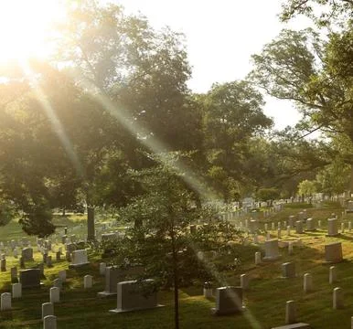 Sunbeams Shining Through Trees Over a Tombstone in a Peaceful Cemetery Stock Photos