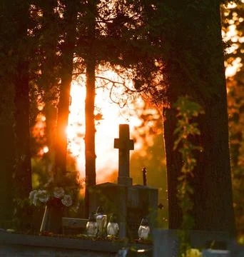 Sunbeams Shining Through Trees Over a Tombstone in a Peaceful Cemetery Stock Photos