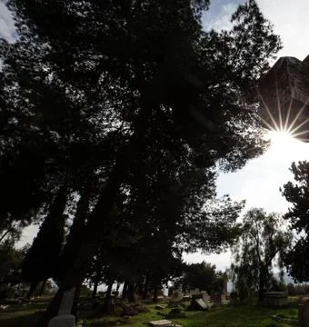 Sunbeams Shining Through Trees Over a Tombstone in a Peaceful Cemetery Stock Photos