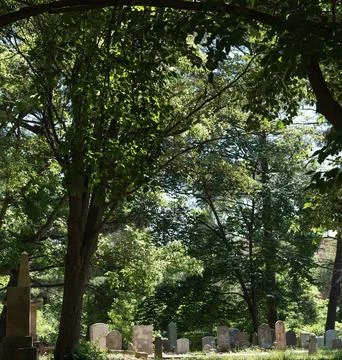 Sunbeams Shining Through Trees Over a Tombstone in a Peaceful Cemetery Stock Photos