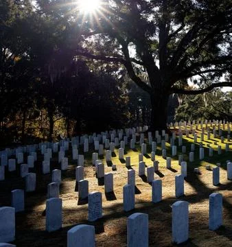 Sunbeams Shining Through Trees Over a Tombstone in a Peaceful Cemetery Stock Photos