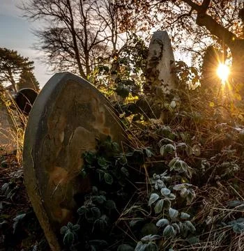 Sunbeams Shining Through Trees Over a Tombstone in a Peaceful Cemetery Stock Photos