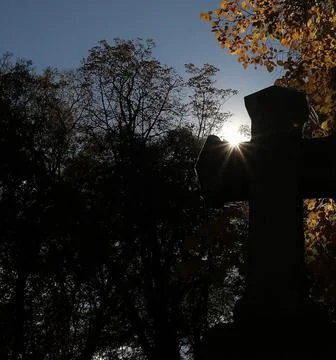 Sunbeams Shining Through Trees Over a Tombstone in a Peaceful Cemetery Stock Photos