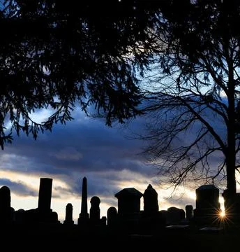 Sunbeams Shining Through Trees Over a Tombstone in a Peaceful Cemetery Stock Photos