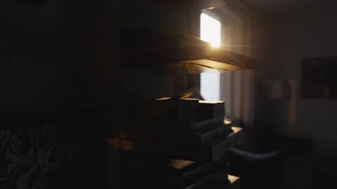 Sunbeams through Bookshelf with Handheld Camera Panning Stock Footage 337533872