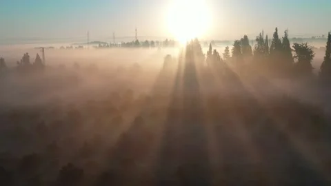 Sunbeams through the fog Stock Footage 167424208