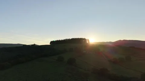 Sunbeams through forest at sunset by drone, Bala Vidéo 345022398