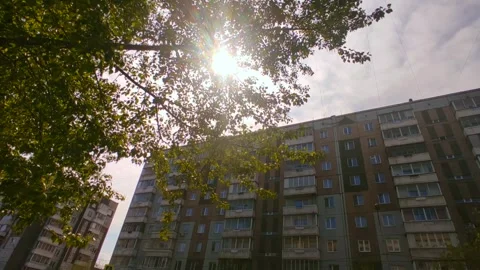 Sunbeams through green tree branches Stock Footage 242315196