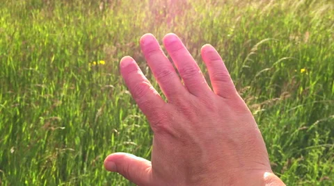 Sunbeams through Hand shining rays Stock Footage 50248479