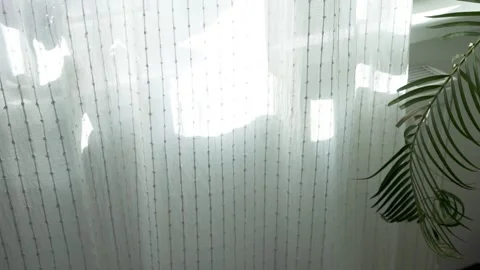 Sunbeams Through Transparent White Swaying Curtain on Window and Shadow on Curta Stock Footage 171264646