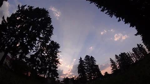 Sunbeams trickle over old German cemetery bordered by tall trees Stock Footage 58815922