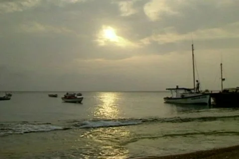 SunBech Stock Footage 285097