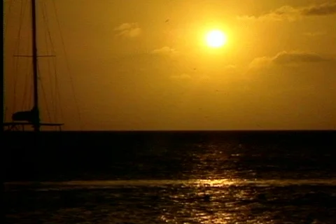 Sunbech1 Video stock 285106