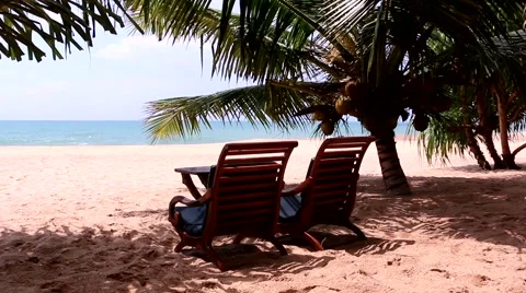 Sunbeds are in shade of palm trees on background of the beach in Sri Lanka Stock Footage 62061605