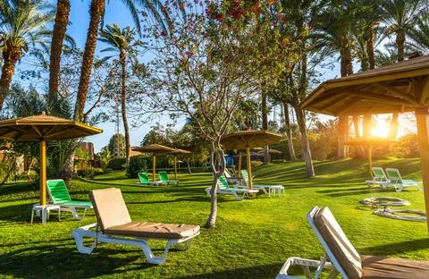 Sunbeds in Luxor Stock Photos
