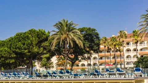 Sunbeds by the pool with palm trees Stock Photos