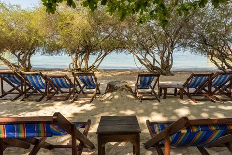 Sunbeds in row in the shadow of trees on seclude tropical sandy beach Stock Photos