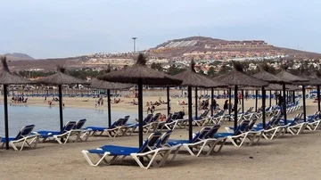Sunbeds in rows on beach next to sea Stock Footage 85894585
