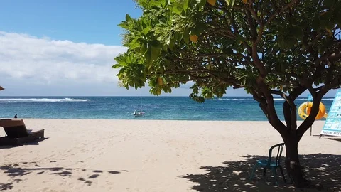 Sunbeds with umbrellas on the beach Vidéo 108720957
