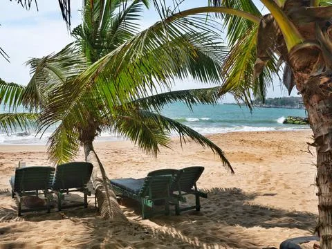 Sunbeds under palms on the beach. Stock Photos