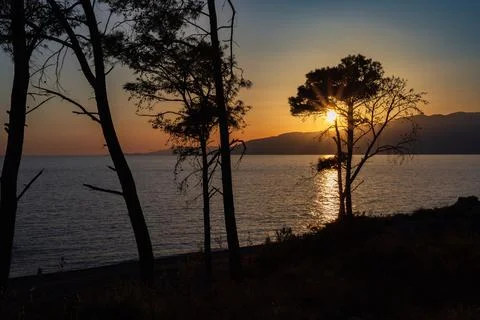 Sunburst behind pine trees at sunset over coastline Stock Photos
