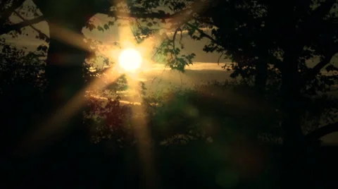 Sunburst in the dark Video stock 33829671