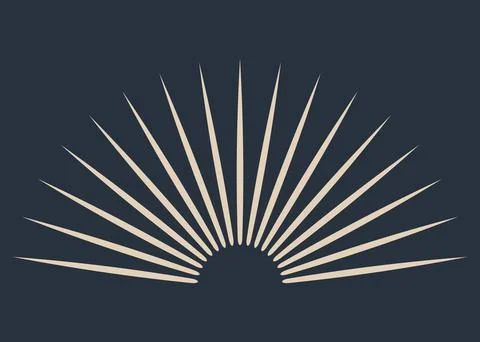 Sunburst firework explosion. Retro hand drawn sparkle. Bursting or light rays Stock Illustration