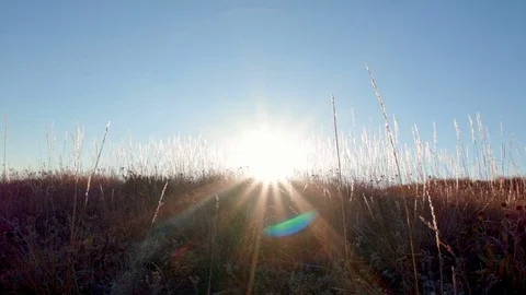 Sunburst lens flare in fall Summit Steens Mountain Near Malhuer Wildlife Refuge Stock Footage 81896528