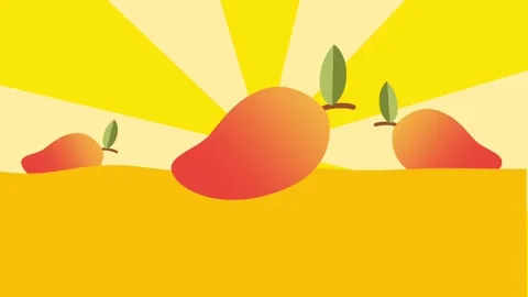 Sunburst Mango Trio Stock Footage 335631352