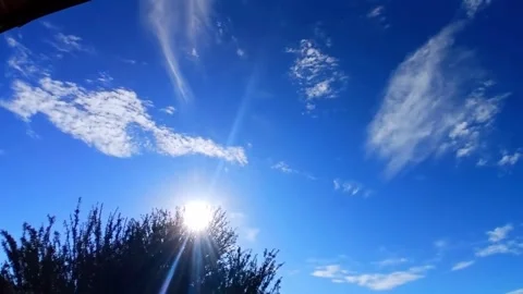 Sunburst Over Tree Silhouette and Blue Sky Stock Footage 345419857