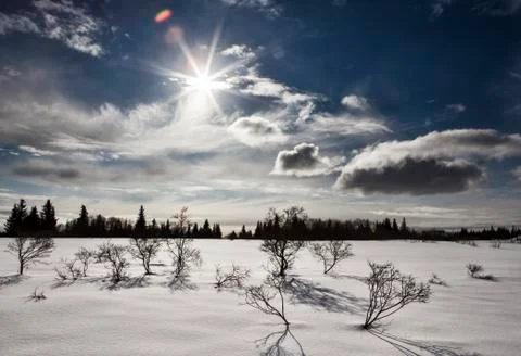 Sunburst with snow Stock Photos